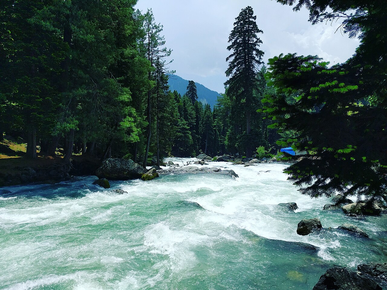 Pahalgam photograph