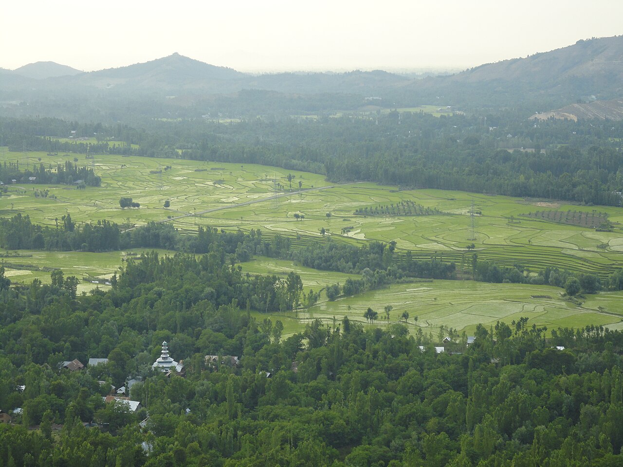 Verinag photograph