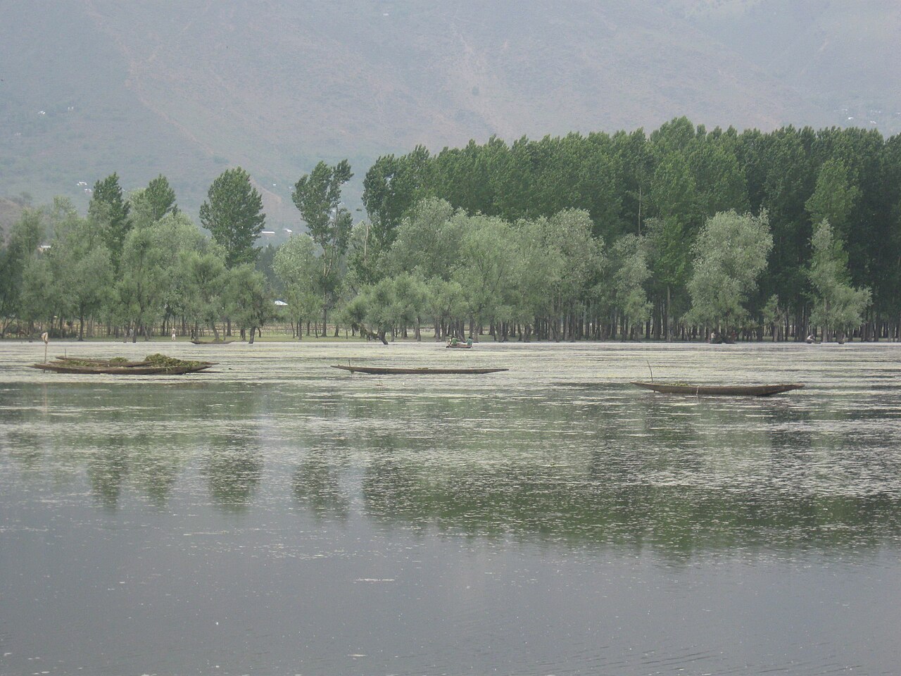 Wular Lake photograph