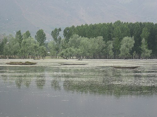 Wular Lake photograph